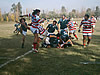 rugbydecuyo