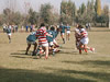 rugbydecuyo